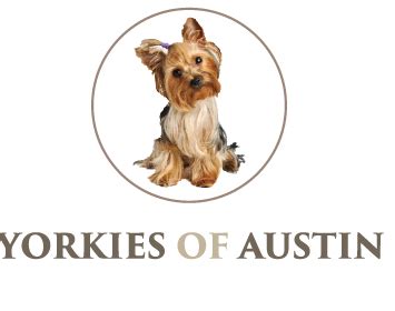 Yorkies of austin - THEY ARE RAISED IN OUR HOME AND LOVED ON DAILY. IF YOU ARE INTERESTED IN BEING ADDED TO OUR WAITLIST, PLEASE FILL OUT OUR WAITLIST FORM. Located just outside of Austin, TX, H6 Yorkies provide quality, socialized, Traditional and Parti Colored Yorkshire Terriers. Our puppies are raised in our home, as part of our family! 